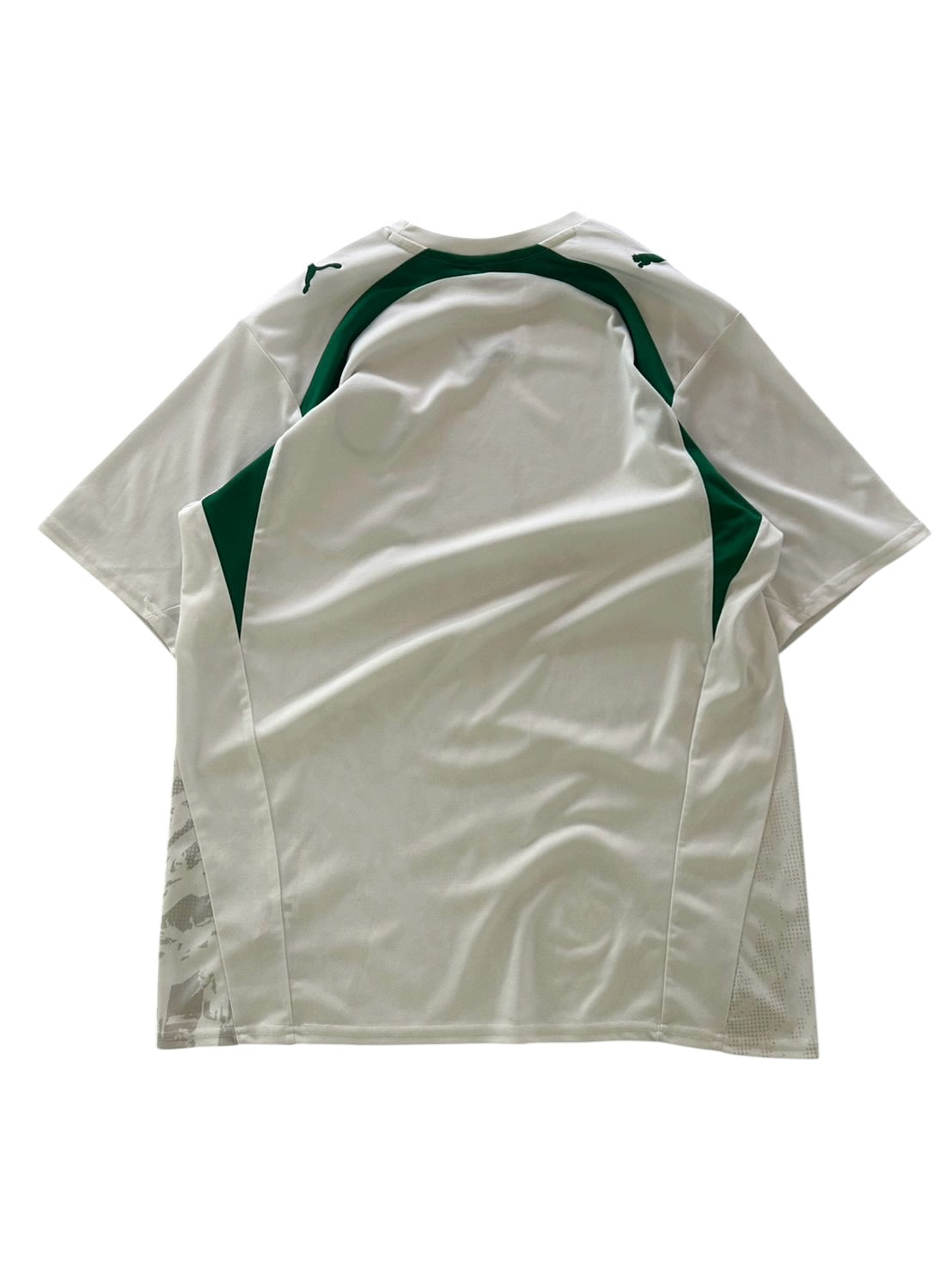 2006 Puma Saudi Arabia