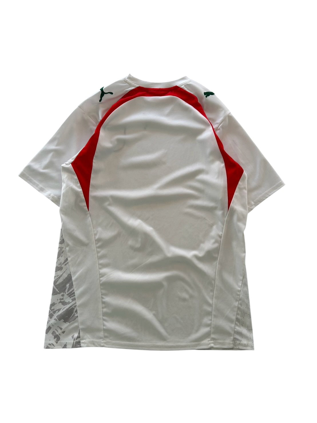 2006 Puma Iran Home