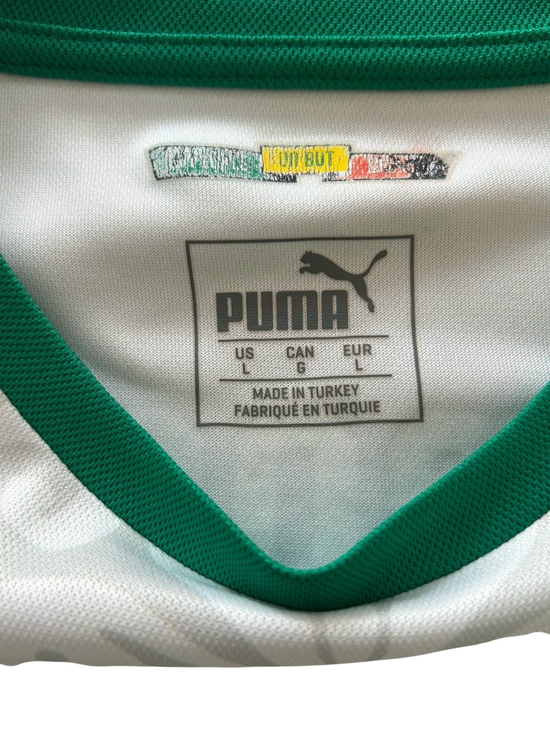 2018 Puma Senegal Home Mane