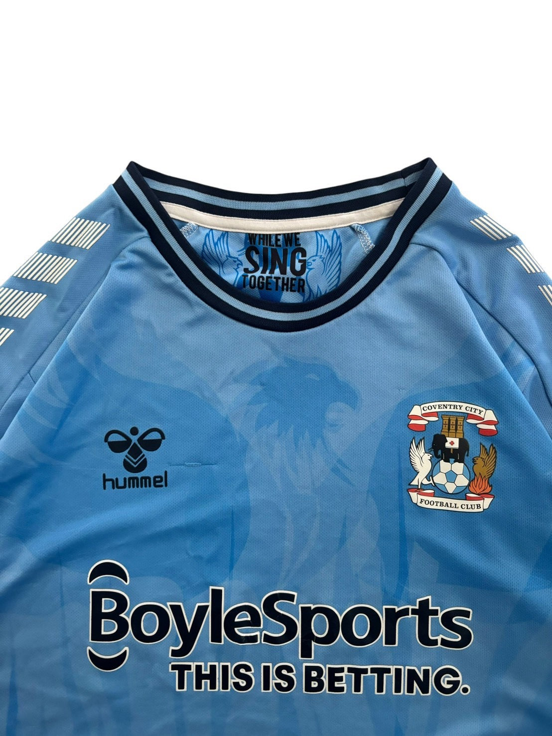 21/22 hummel Coventry Home