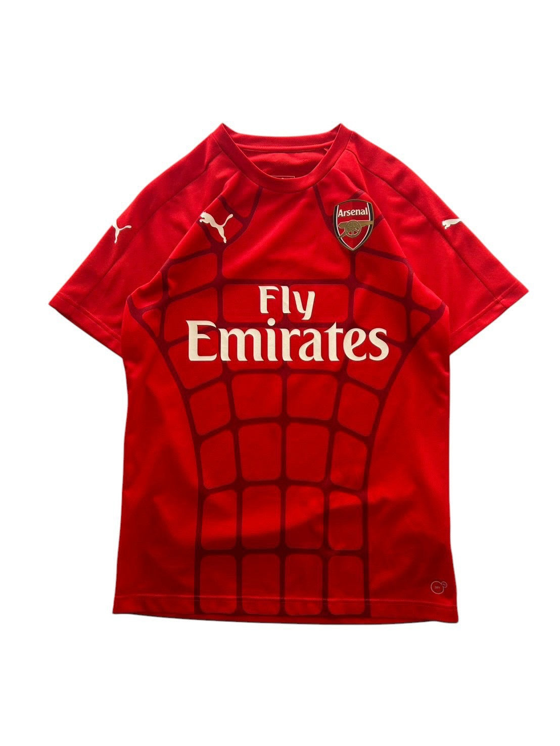 15/16 Puma Arsenal Training